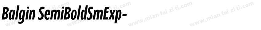 Balgin SemiBoldSmExp字体转换